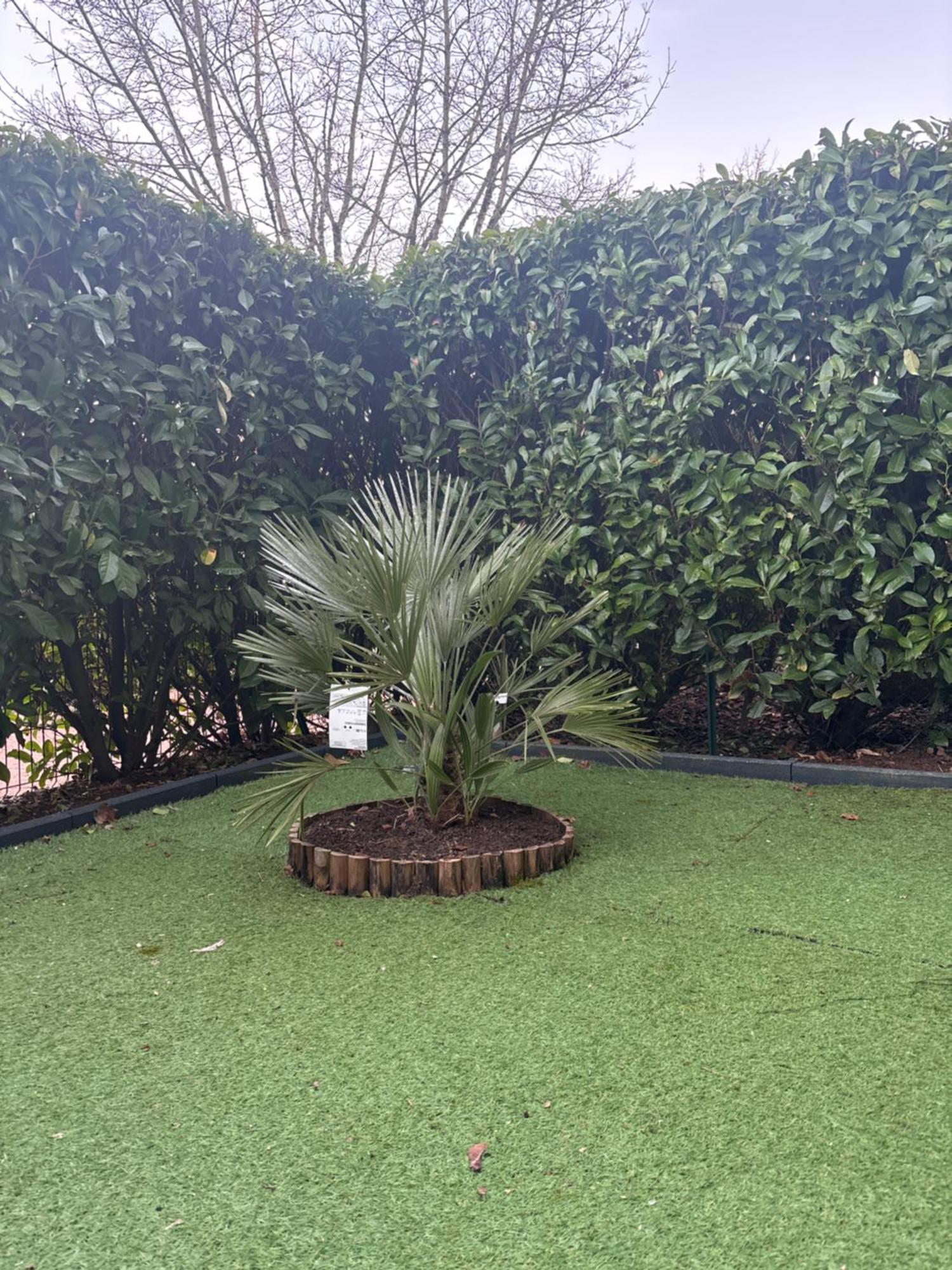 Romantisme Et Glamour Avec Spa ,Jardin Proche Zenith Dijon Exterior photo